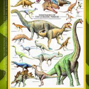 Pussel - Dinosaurier 1000 bitar